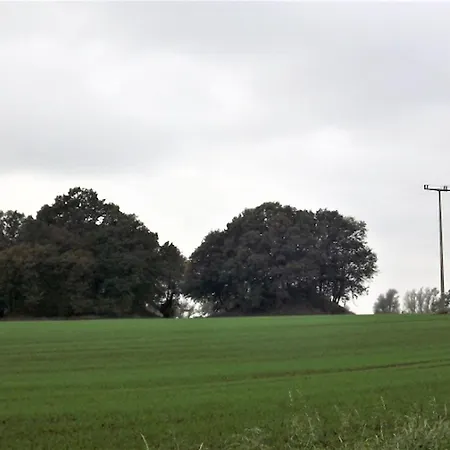 Holiday home Landhauswohnungen Mitten Auf Ruegen - Steuerbord Thesenvitz