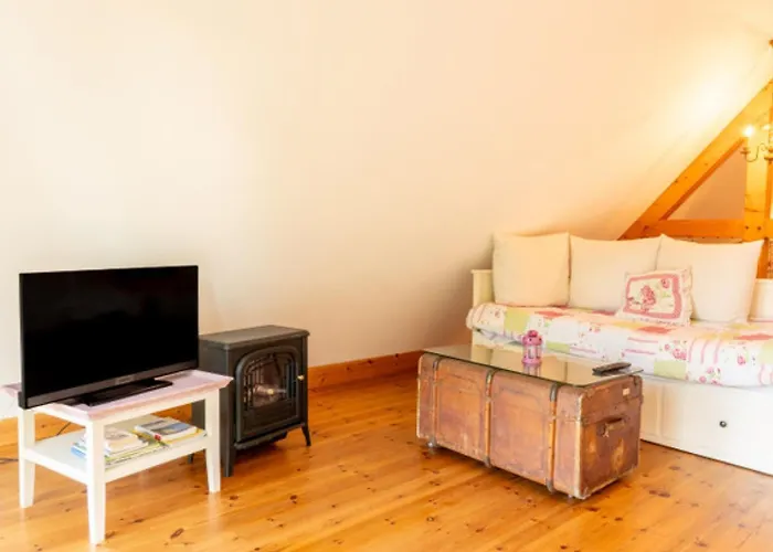 Vakantiehuis Landhauswohnungen Mitten Auf Ruegen - Steuerbord